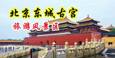 美女被鸡巴日逼中国北京-东城古宫旅游风景区